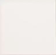Liso Blanco Brillo 10х10