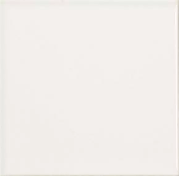 Liso Blanco Brillo 10х10