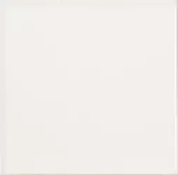 Liso Blanco Mate 10х10