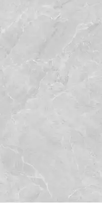 Lithos Light Grey Sugar Polished 60x120
