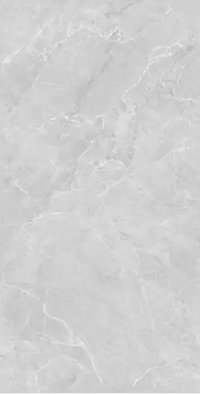 Lithos Light Grey Sugar Polished 60x120