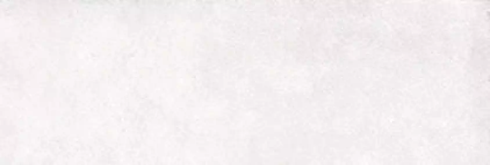Locarno White 25x75x0.9