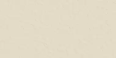 Logan BONE 60x120