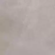 Lotus Warm Grey 80x80
