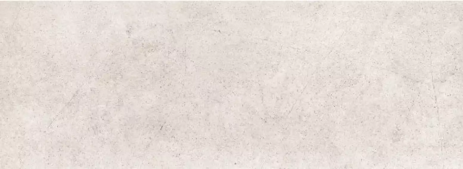 Lozzi silver 32.8x89.8