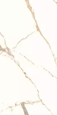 Luxury Calacatta 60x120
