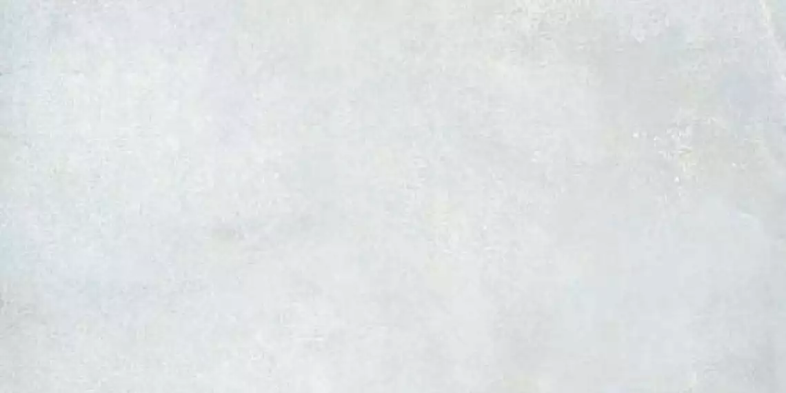 M.C. JASPER WHITE MT RECT. 60*120