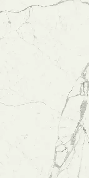 M0FU Grande Marble Look Statuario Rett. 120х240