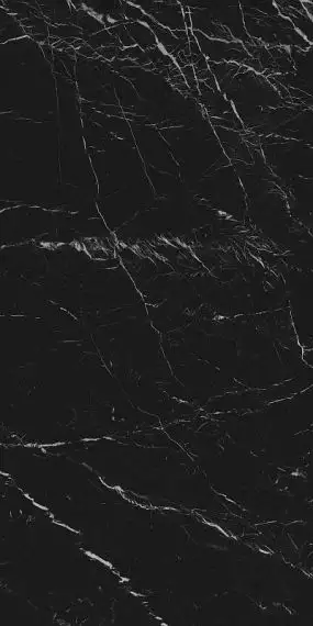 M10Y Grande Marble Look Elegant Black 120x240