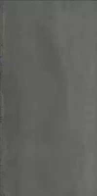 M11A Grande Metal Look Iron Light 160x320