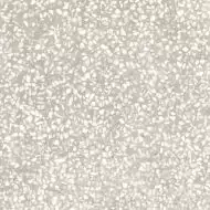 M1KX D_Segni Scaglie White 20x20