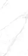 M4401P Керамогранит Carrara Livia Glossy 60x120