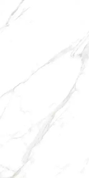 M4401P Керамогранит Carrara Livia Glossy 60x120