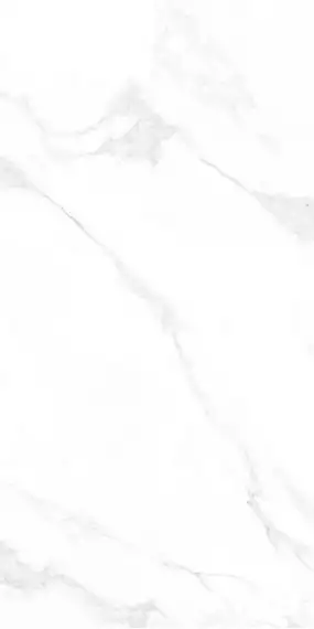 M4402P Керамогранит Carrara Anita Glossy 60x120