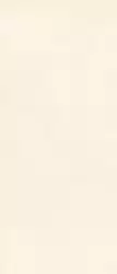 M7GR Grande Resin Look Bianco Satin 120х278