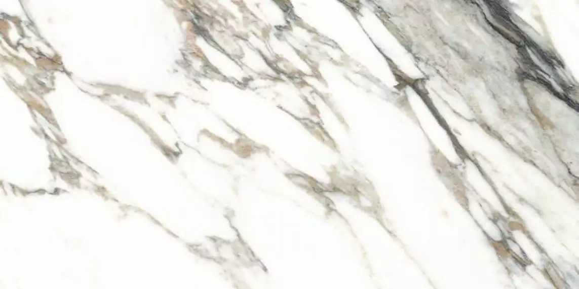 MACCHIA VECCHIA/60X120/EP 60x120