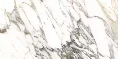 MACCHIA VECCHIA NT/60X120/R 60x120