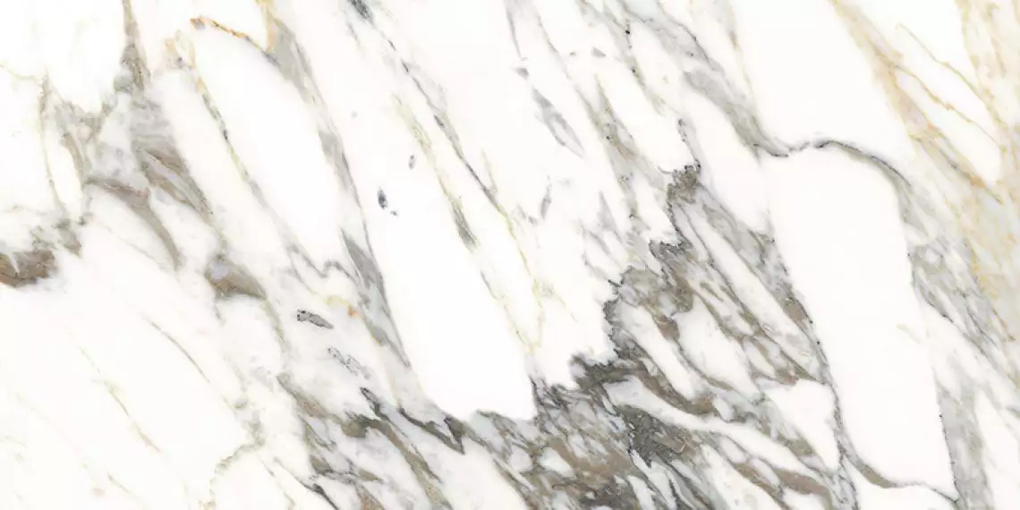 MACCHIA VECCHIA NT/60X120/R 60x120