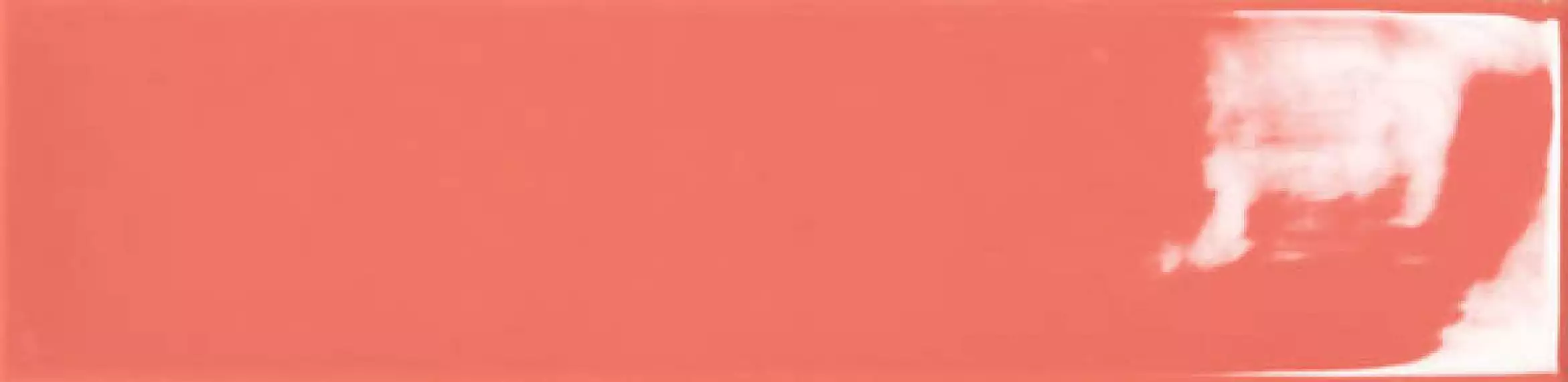 MAIOLICA GLOSS CORAL 7.5x30