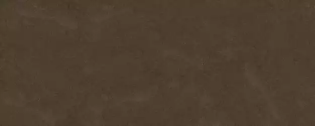 MARBLE BROWN SF.FS.DSBR.NT 300x120