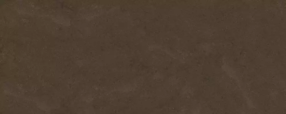 MARBLE BROWN SF.FS.DSBR.NT 300x120