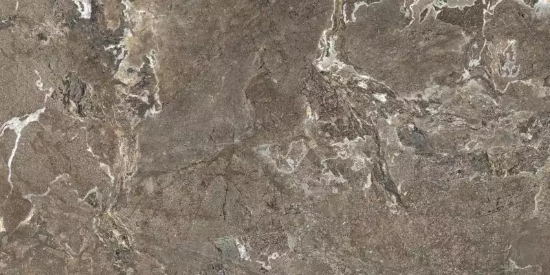 MARBLE BROWN SF.OM.GP.ST 240x120