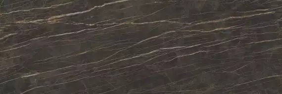 MARBLE BROWN SL.IN.ND.NT RU 300x100