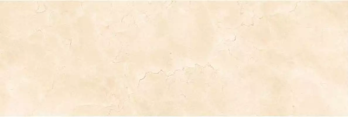 MARFIL BEIGE Polished 240x80