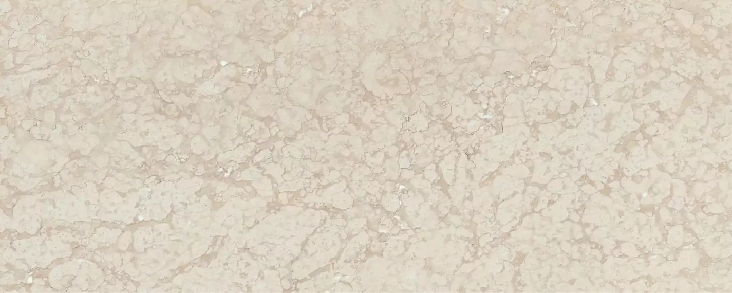 MARFIL SL.RR.PRR.DNA 300x120