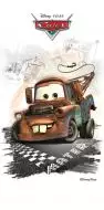 MATER 30*60