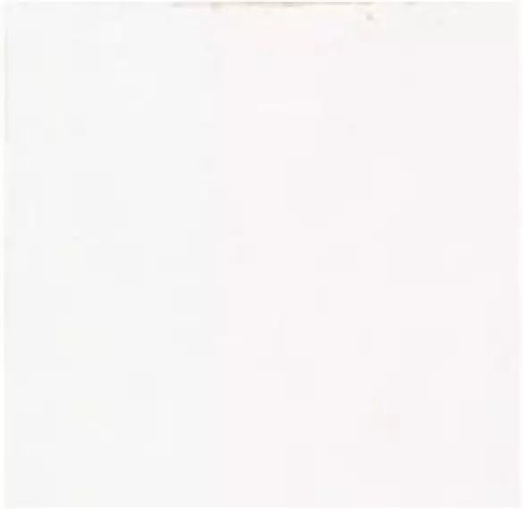 MESTIZAJE ZELLIGE WHITE MATT 12,5x12,5