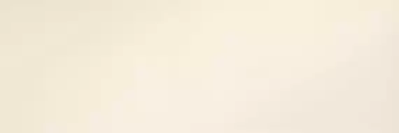 METAL DL.FL.BR.ST 300x100