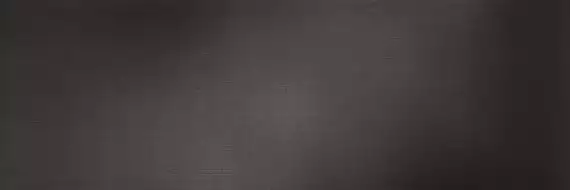 METAL DL.FL.PC.ST RU 300x100