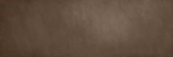 METAL DL.ST.GL.NT 300x100