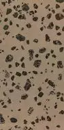 METEOR ROSA KRISTAL Rectified PARLAK NANO 60X120