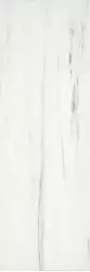 MLAR Marbleline Zebrino 22x66.2