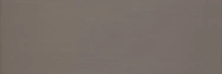 MLE4 Colourline Brown 22x66.2
