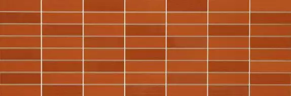 MLEY Colourline Orange Mosaico 22x66.2