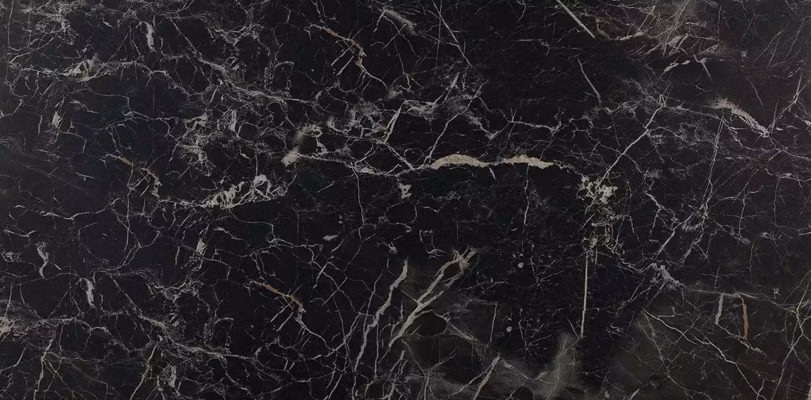 MMFJ Allmarble Saint Laurent 60x120