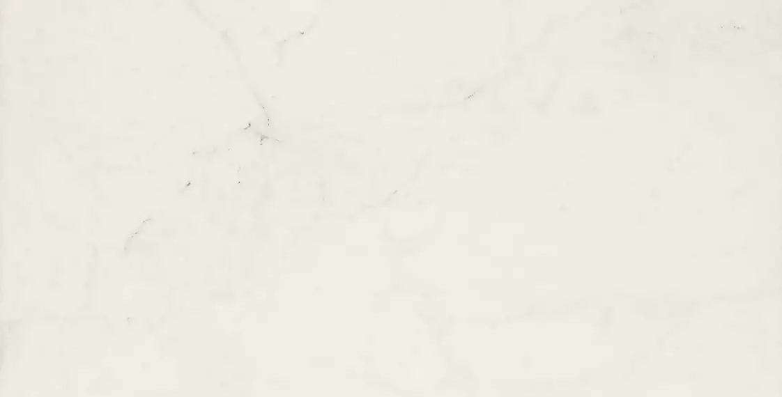 MMGR Allmarble Altissimo Lux 60x120