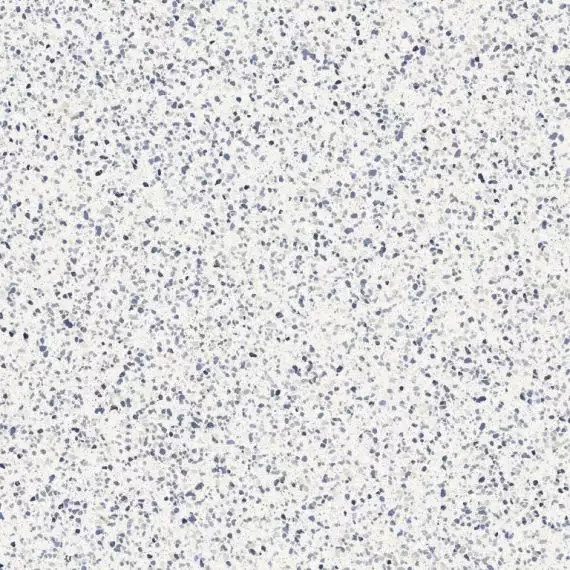 MMZY Керамогранит Frammento Macro Azzurro R10 RT 120x120