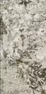 MN627BP261206 Frozen Fox Polished 6mm 120x260