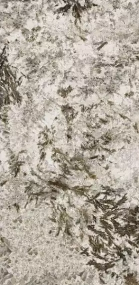 MN627BP261206 Frozen Fox Polished 6mm 120x260