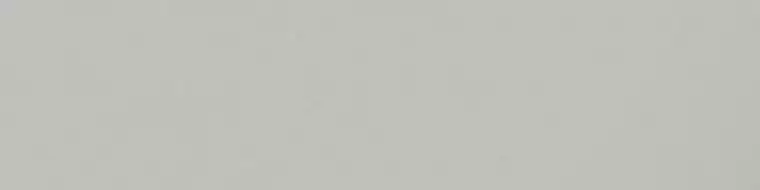 MONOCOLOR CF 002 Light-grey / Подступенок Моноколор CF 002 светло-серый MR 60x15