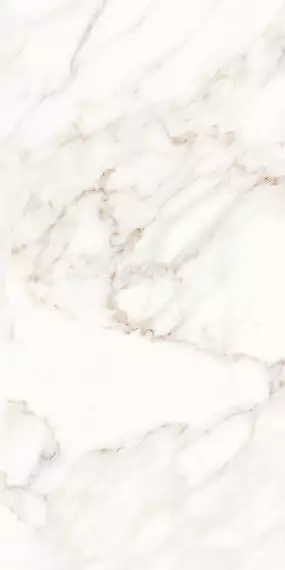 MPL-058622 Керамогранит Calacatta Satin 60x120