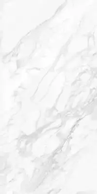 MPL-058629 Керамогранит Dolomiti Polished 60x120