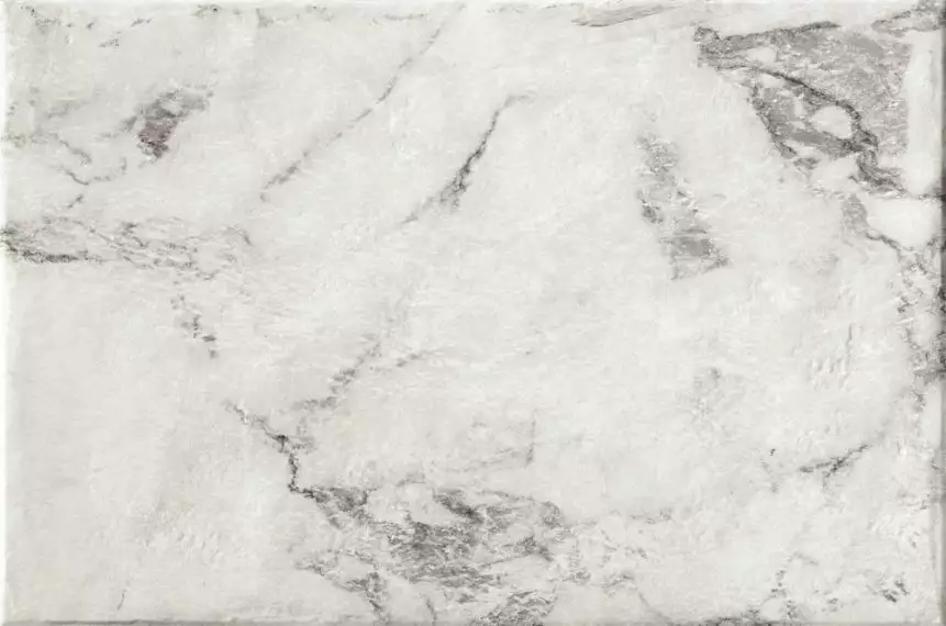 Magistra Classic Paonazzetto 40*60.8