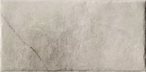 Magistra Fior Di Bosco 20*40