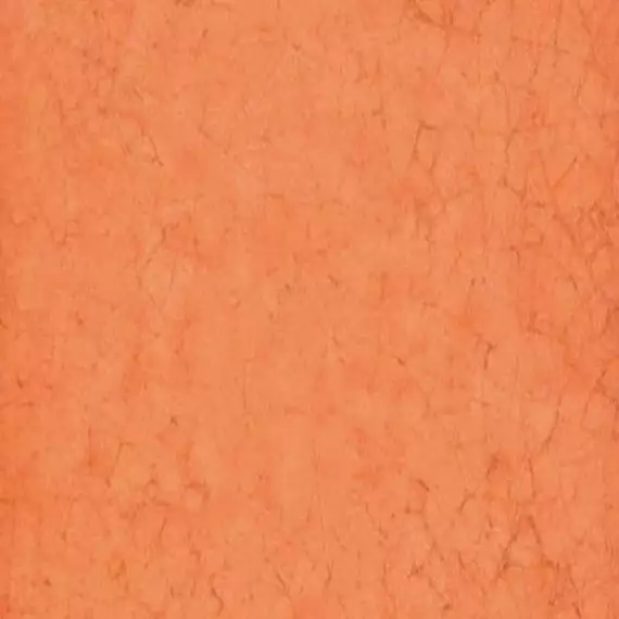 Maiolica Arancio 20x20