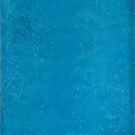 Maiolica Mare 20x20